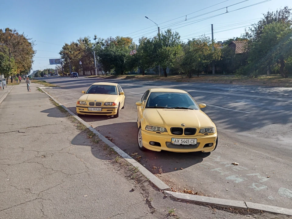 Два жовтки