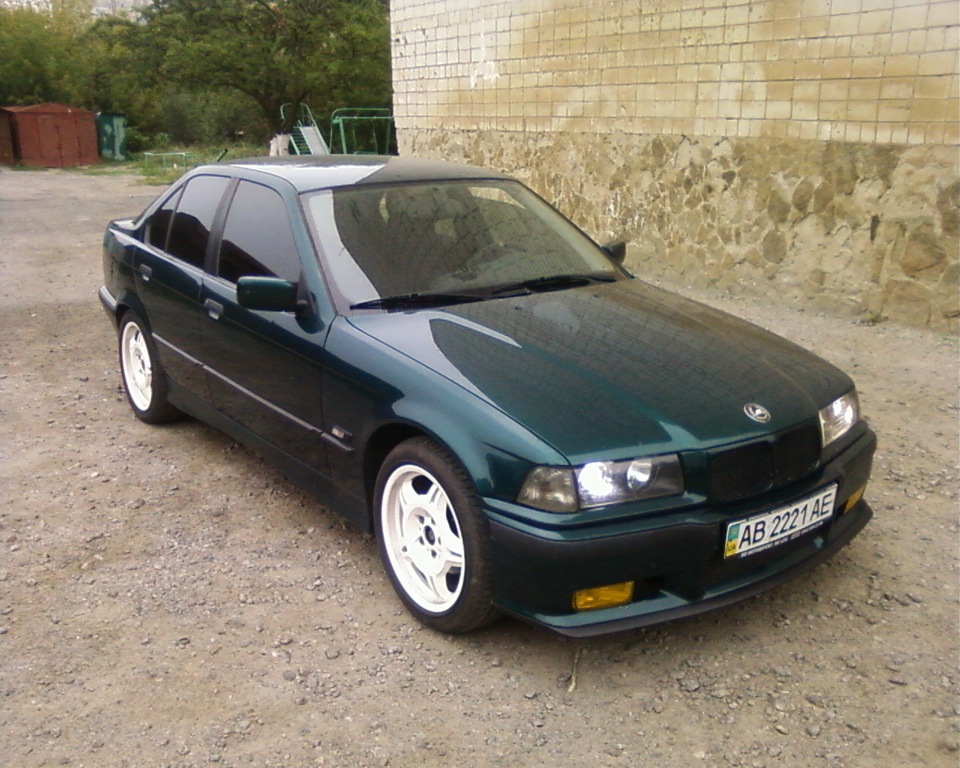 губа. 4