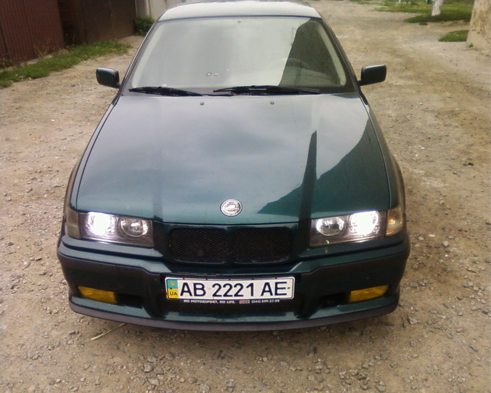 губа. 2