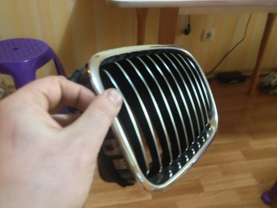 Нові ніздрі))) 2