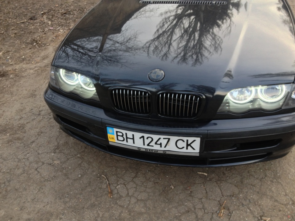 Нові ніздрі 2 1