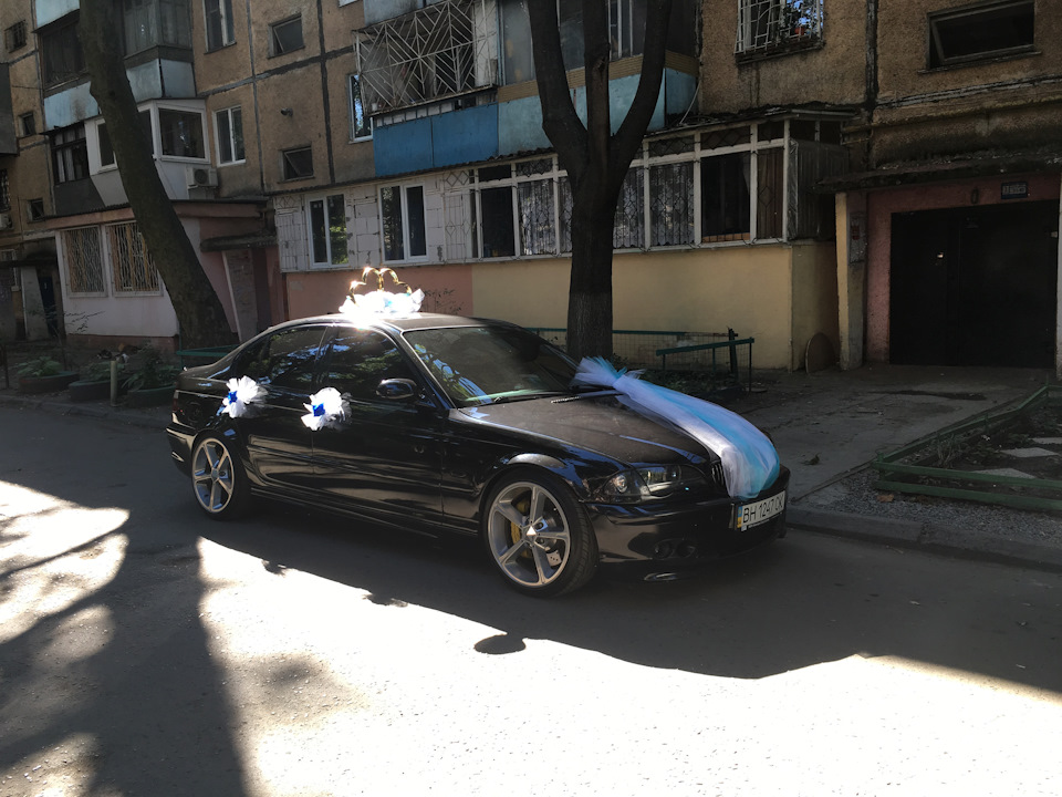 Симпатішна трійка на симпатишній справі))) 1