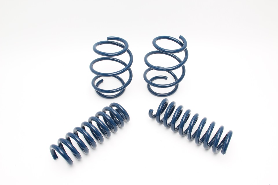 Dinan® Performance Spring 1