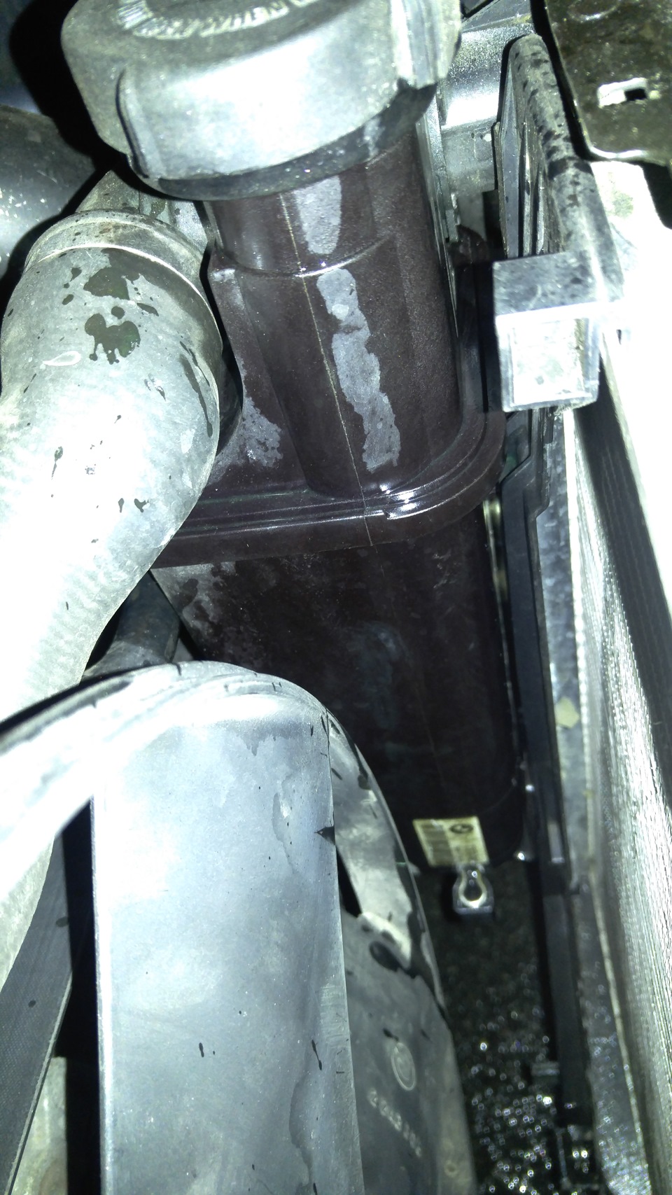 Turbo Ера 500-700 км. 3 песці за 3 дні… Перегрів. 5