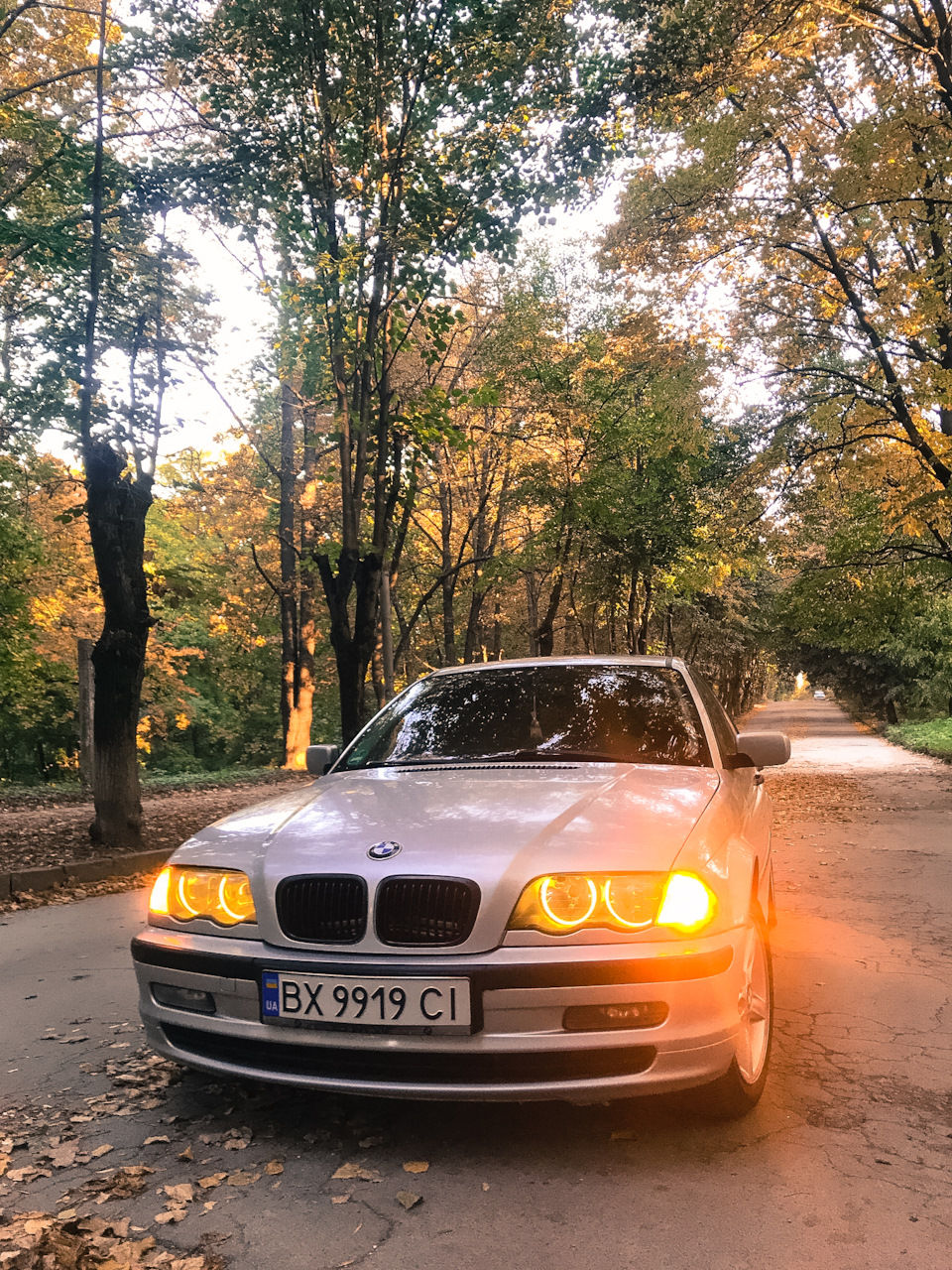 Фотосесія Золота осінь 2