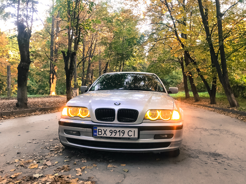 Фотосесія Золота осінь 1