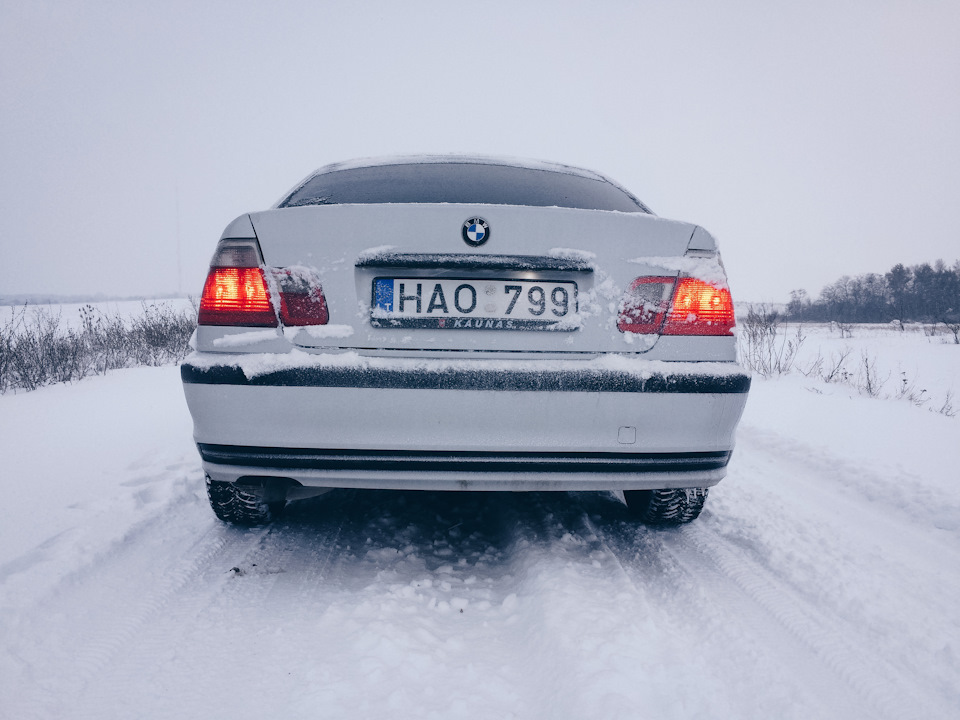 Зима повернулася! Фотосесія.Ранок 4