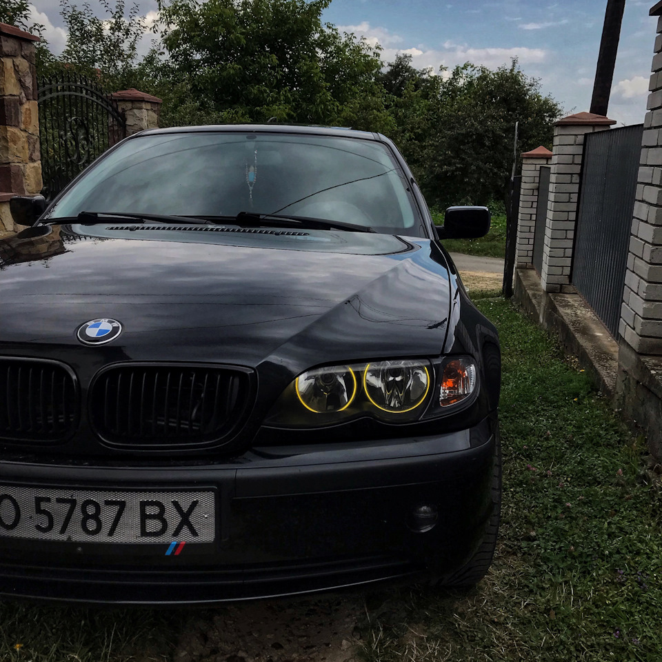 Очі на БМВ е46 1