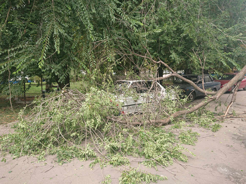 Прилетіло. 3