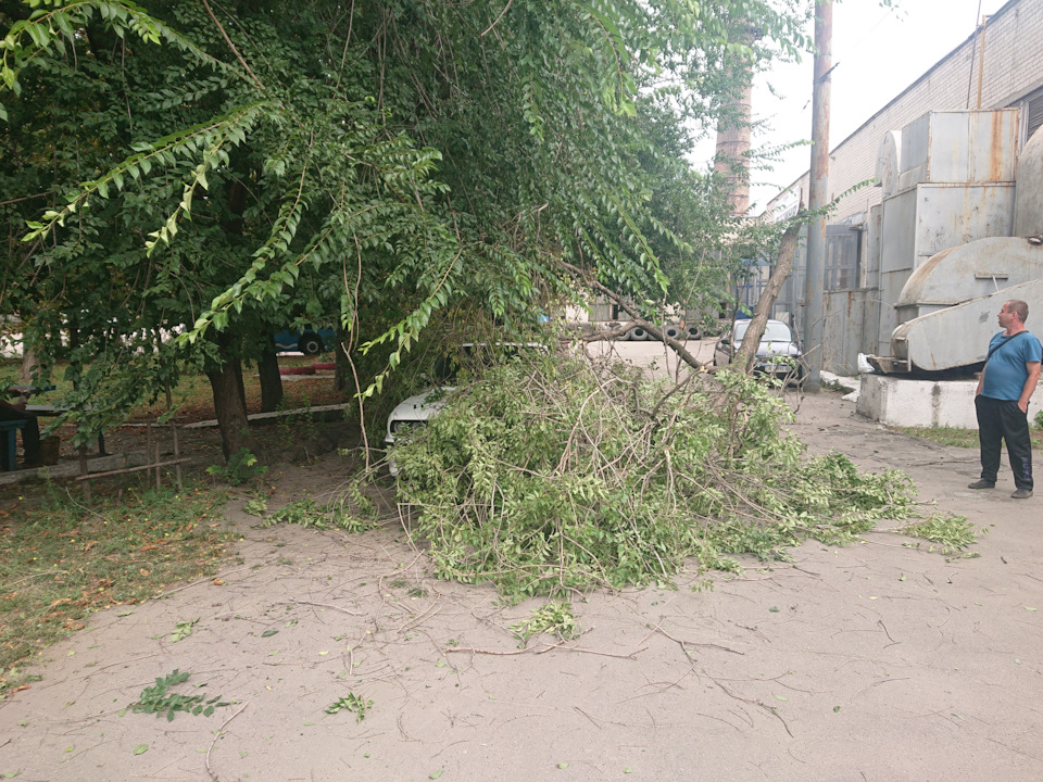Прилетіло. 4