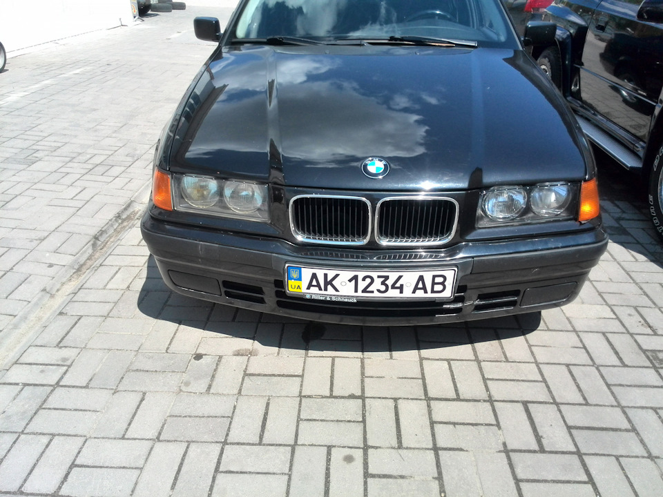 Ноздрі 1