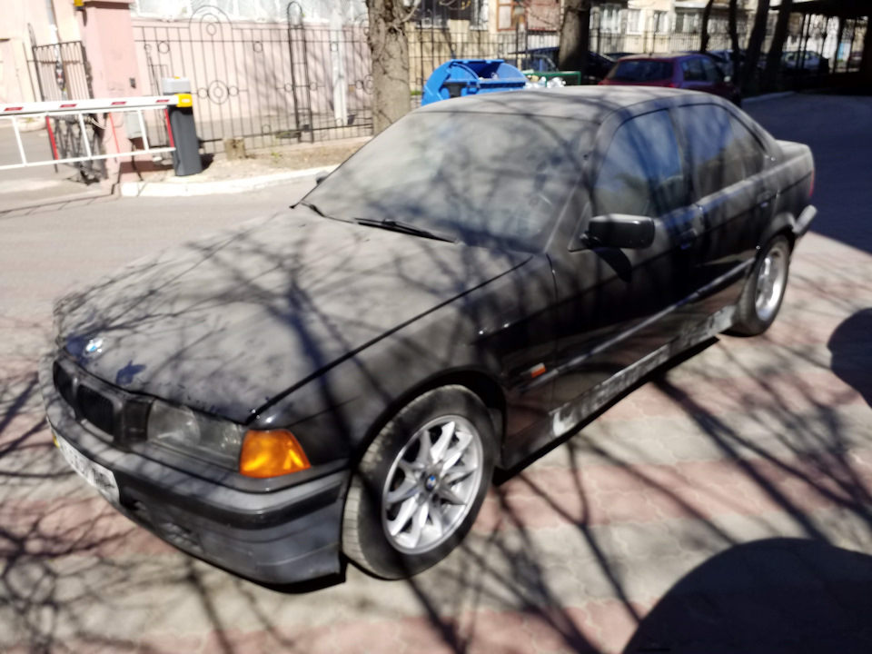 Задні амортизатори 2