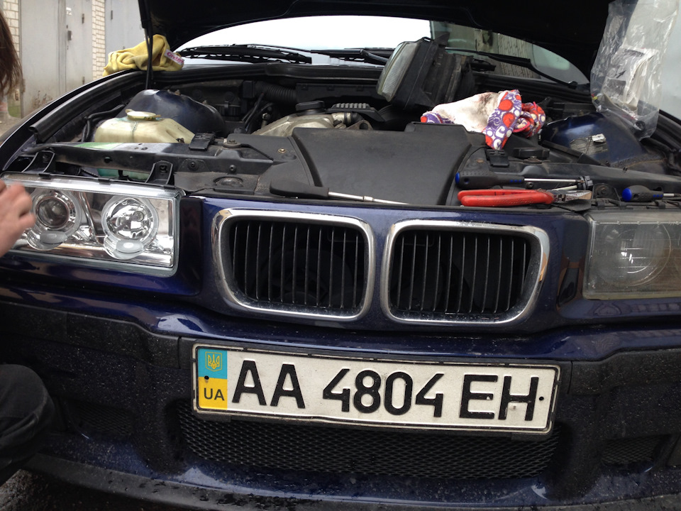 Купив Hella Celis Chrome 4