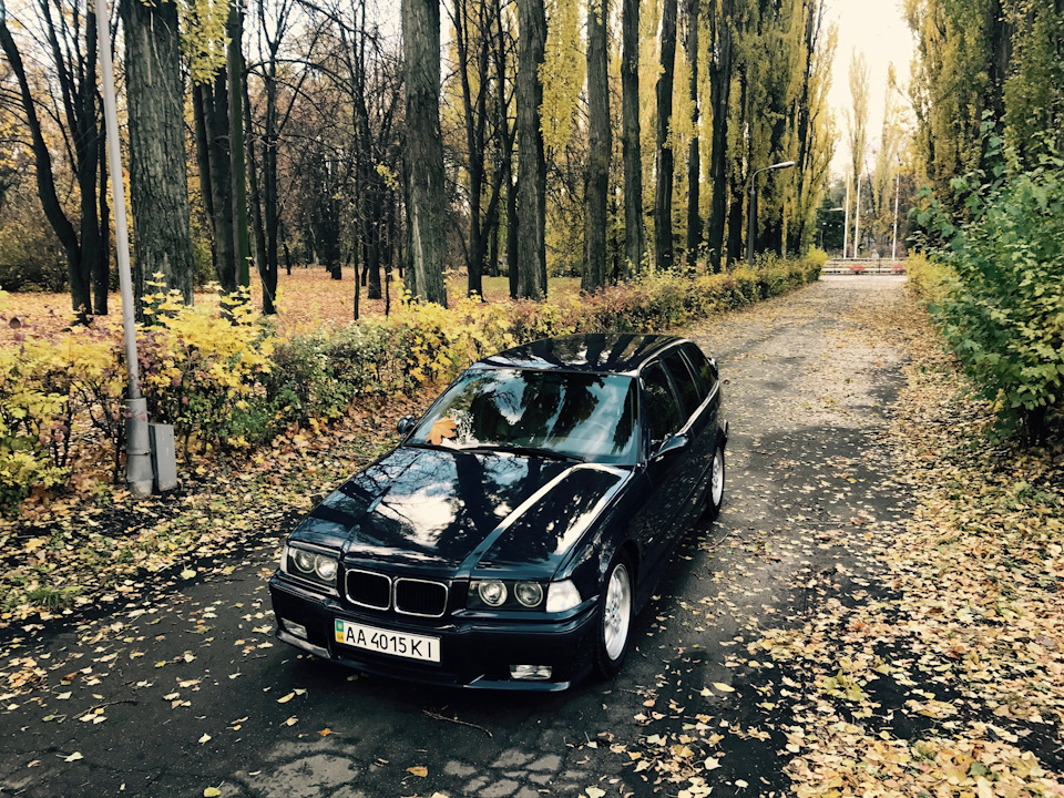 Осінній фотосет. 3