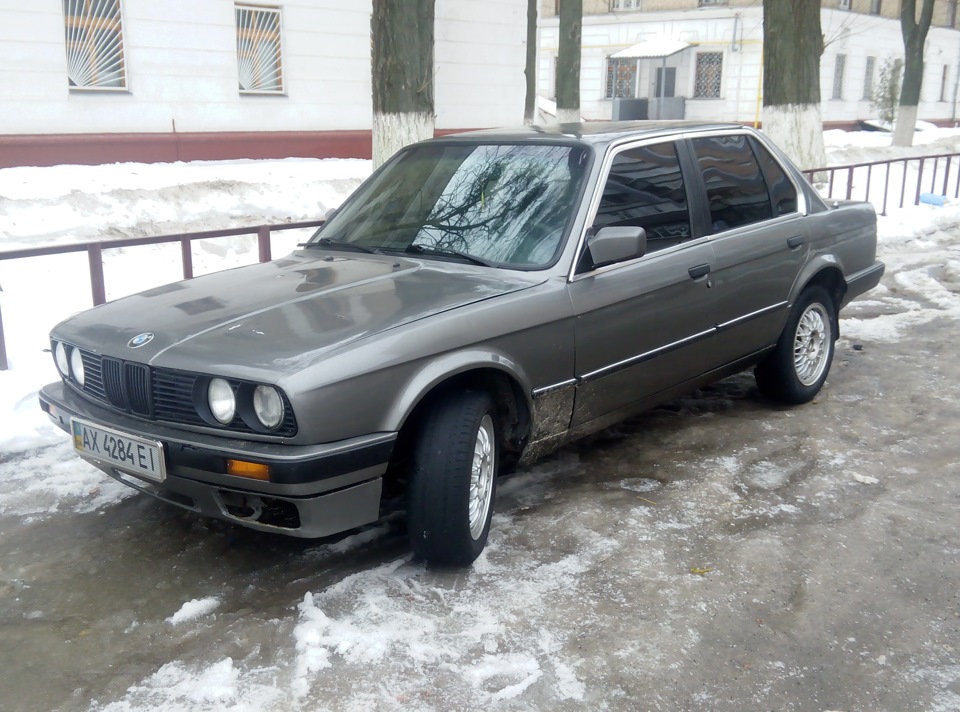 Подарунки Бумерангу) 3