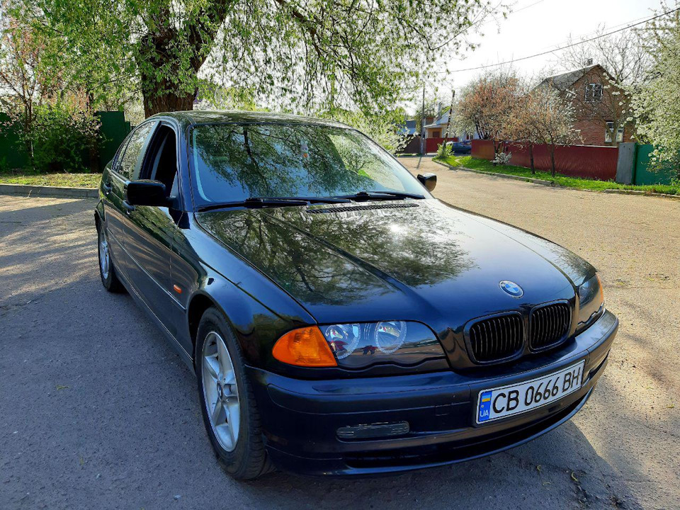 Чорні ніздрі (глянець) та LED освітлення номера на BMW E46 sedan 98' 3