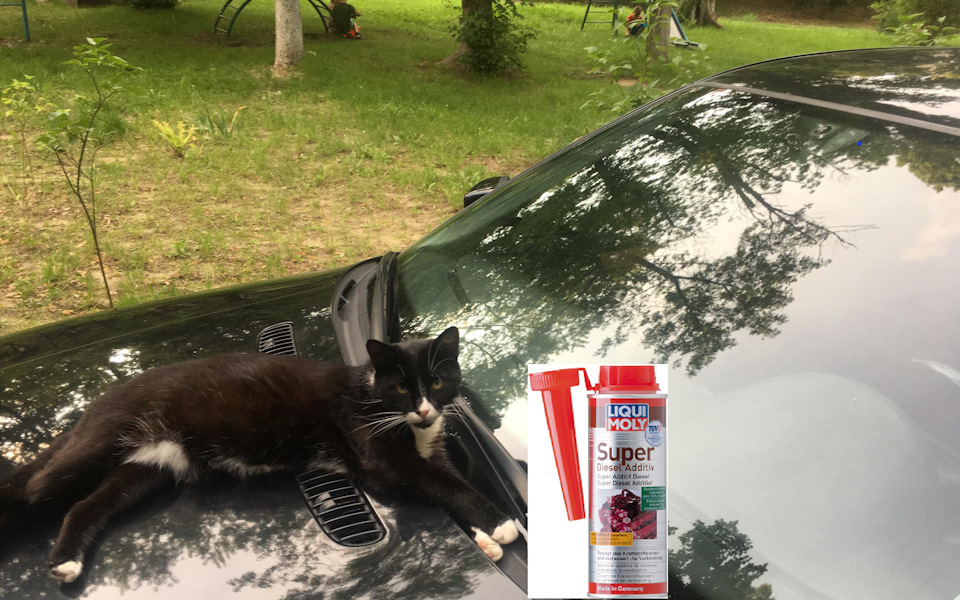 💊💉🌡🚀Присадка в дизельне паливо Liqui Moly Super Diesel Additiv 1