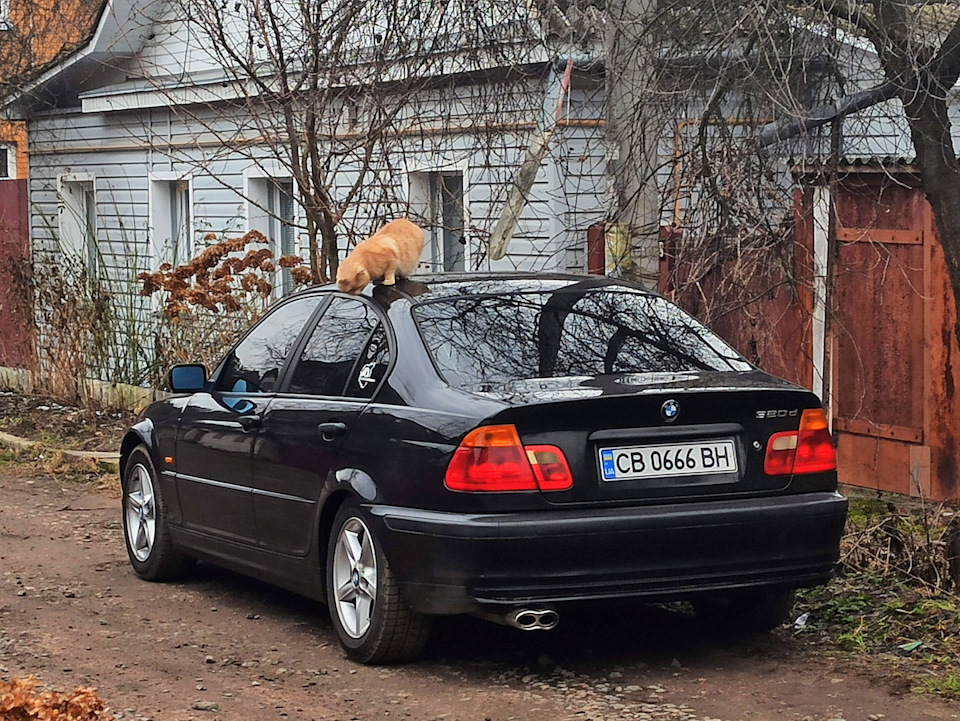 🔇Просто ... снігу так само немає, в житті автомобіля 🚗 все стабільно. 😉 3