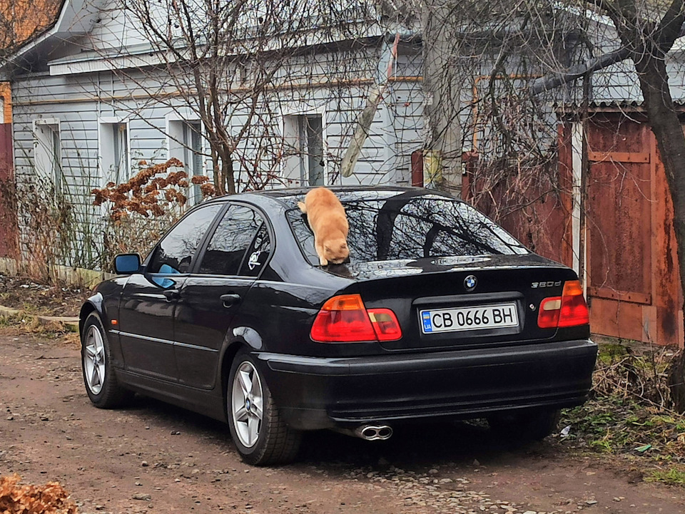 🔇Просто ... снігу так само немає, в житті автомобіля 🚗 все стабільно. 😉 4