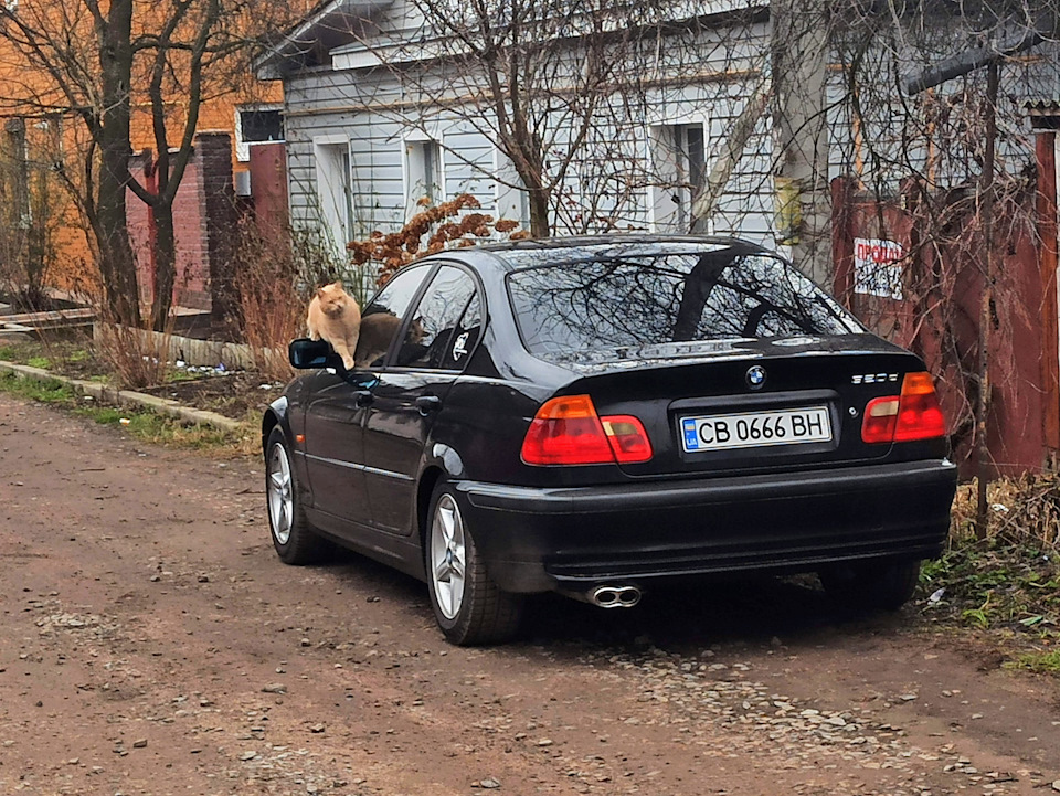 🔇Просто ... снігу так само немає, в житті автомобіля 🚗 все стабільно. 😉 2