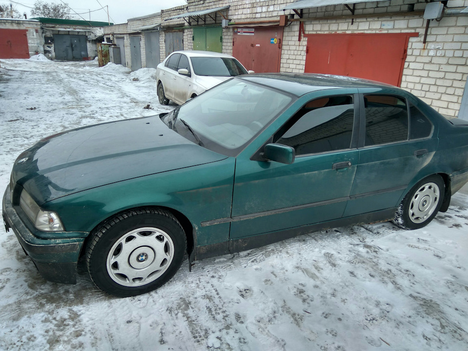 Купив донора 4
