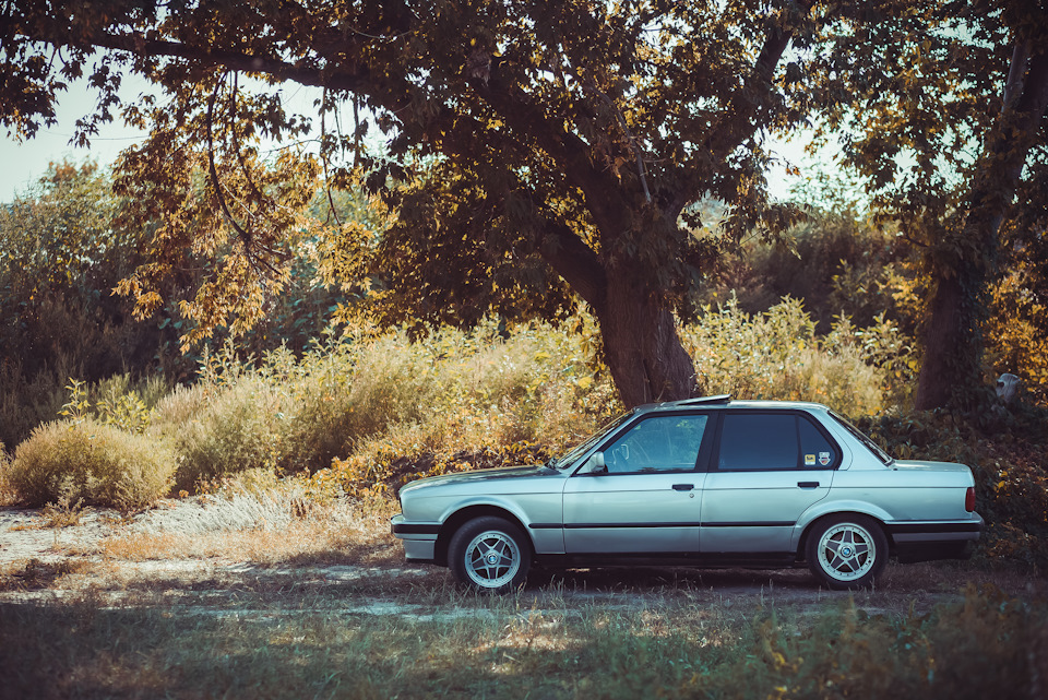 Wheels - Intra Exip 3