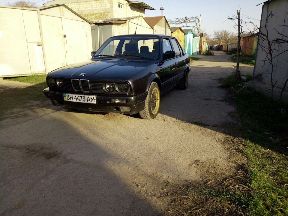 Пікчурс + бонус 3