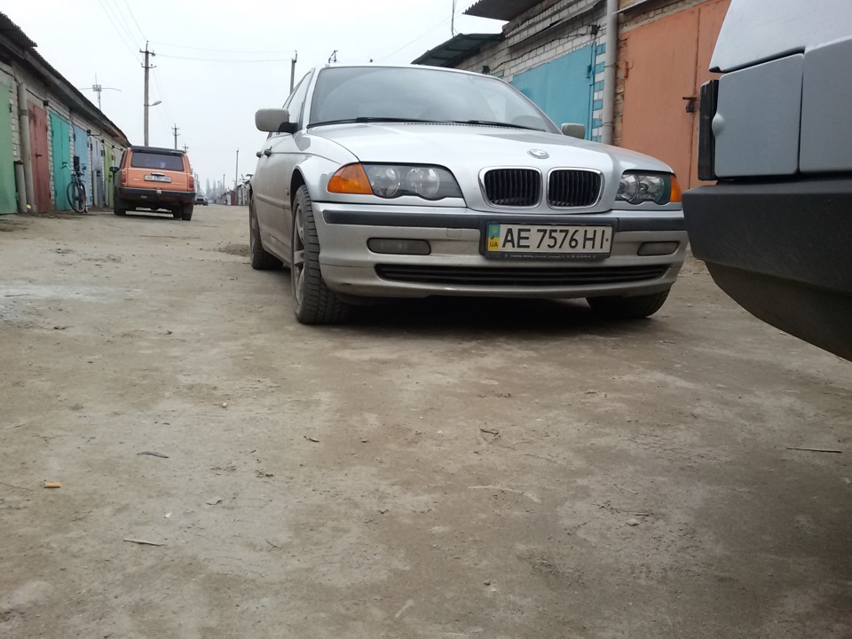 Підняв морду. 2