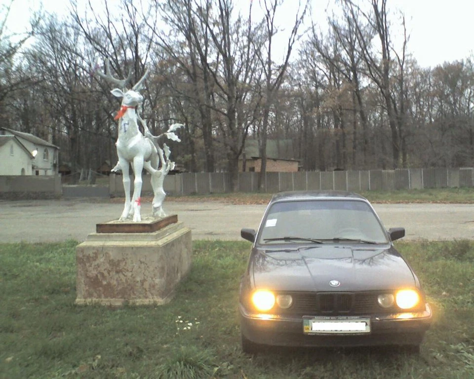 Ноздрі Kamei