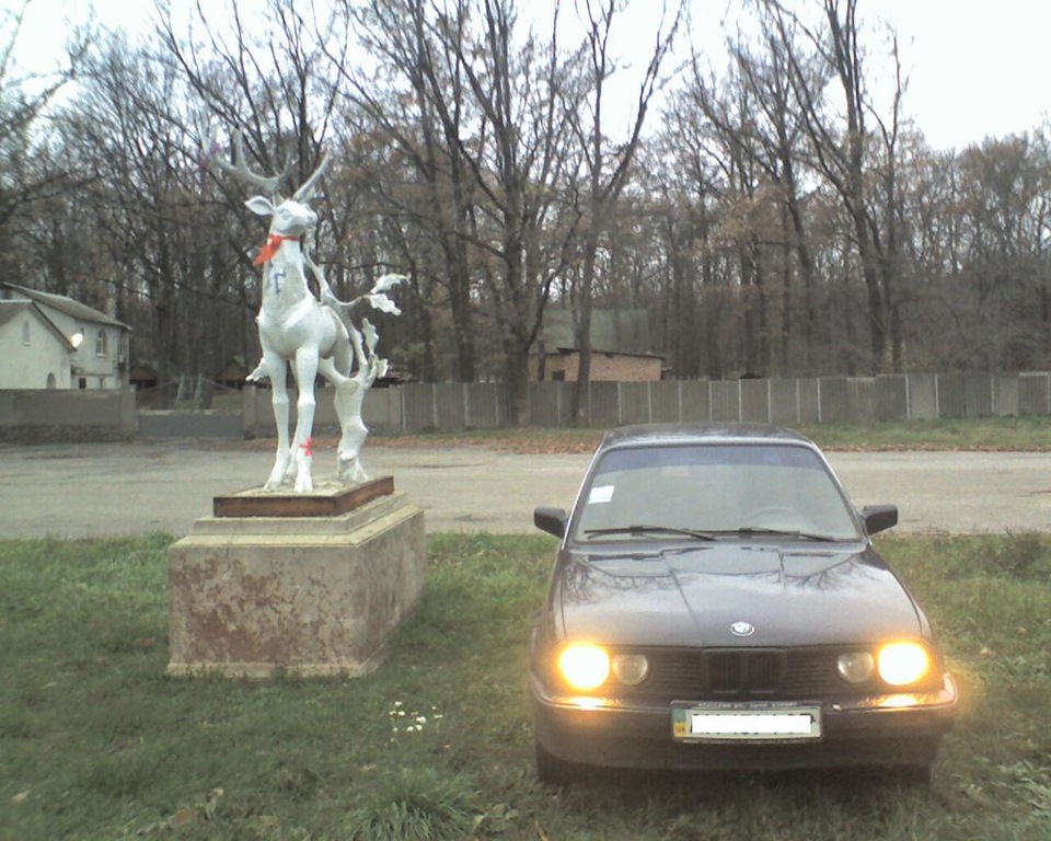 Ноздрі Kamei 1