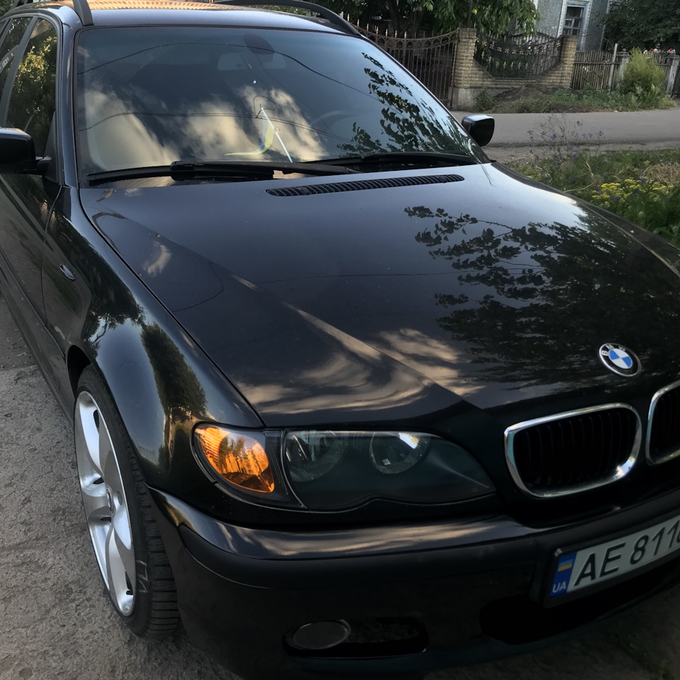 Продам свою красуню 2