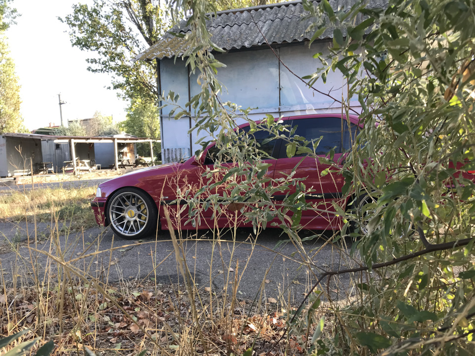 Гумки Глушника 🚘 4