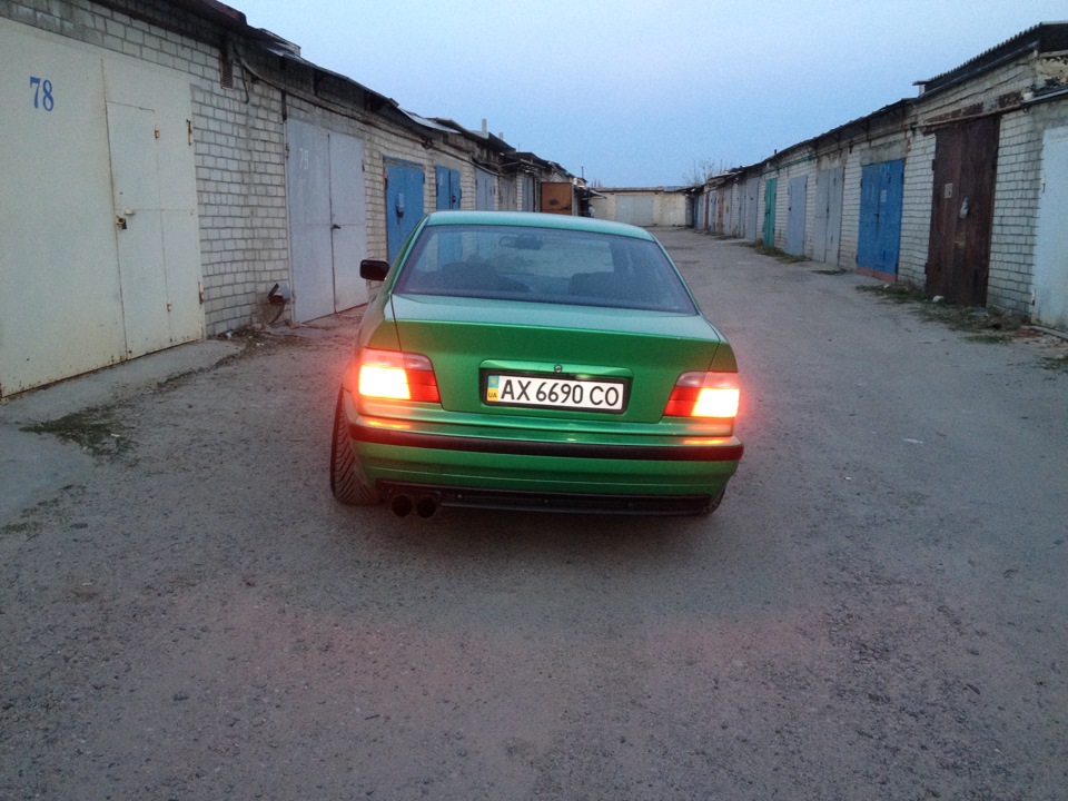 Фото на гвинтах 3