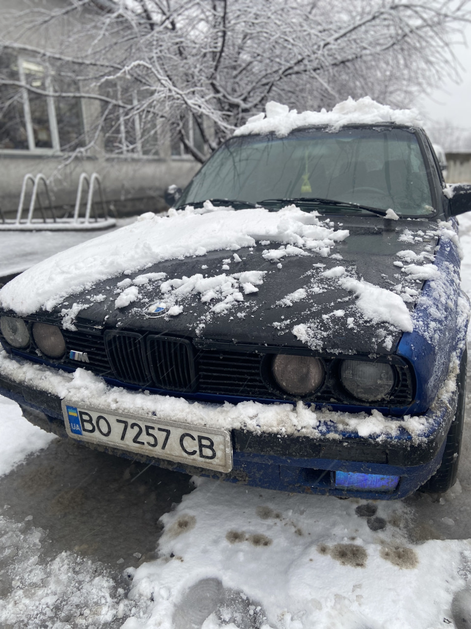 Наш з нею перший сніг. В очікуванні ремонту. 2