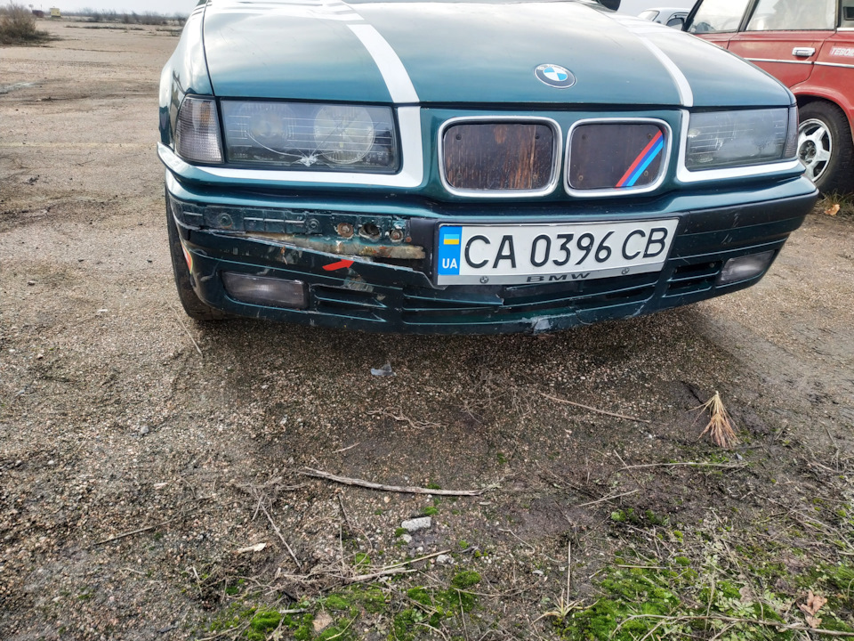 Зустріч з пеньком. Невеликі доробки на зиму (картонка стайл) 1