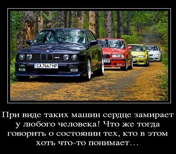 300 підписників 3