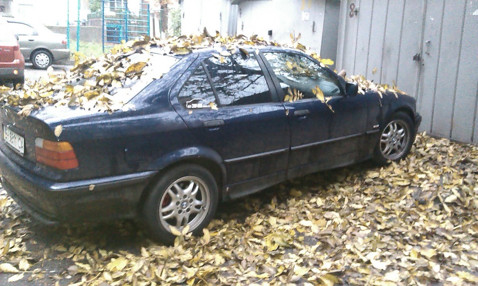 Осінь... 1