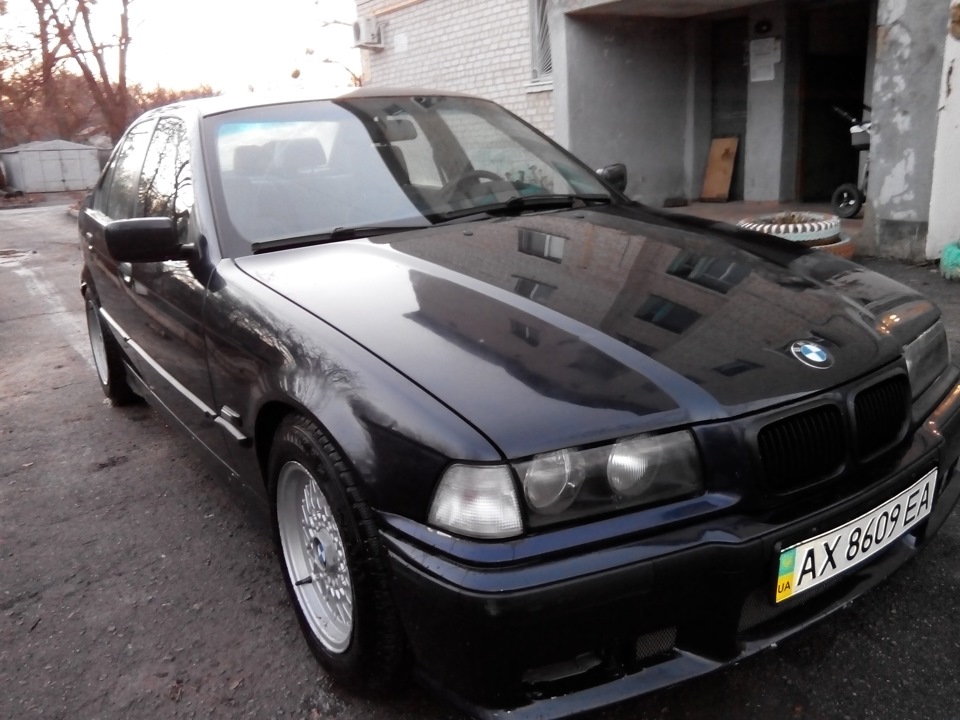 Winter fan e36 5