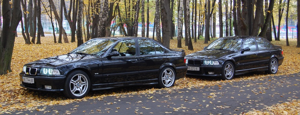 Прощання баварських сестер 5