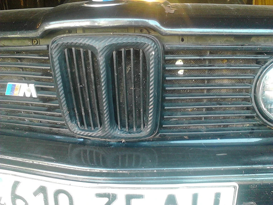 Захистна сітка радіатора( добре або погано)