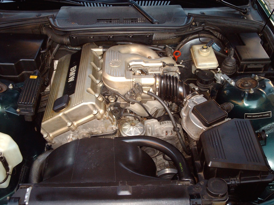 Куплю двигун m42b18 або m44b19 1