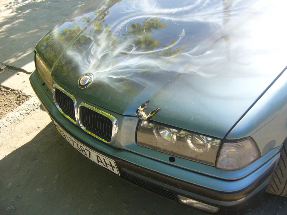 Запис, 29 січня 2010