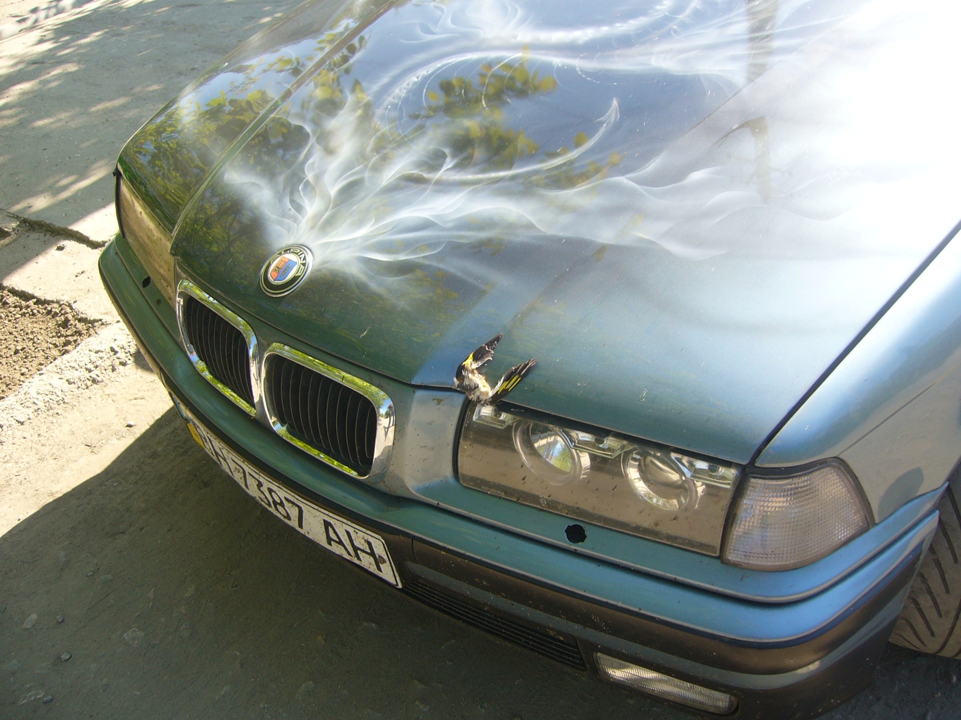 Запис, 29 січня 2010 1
