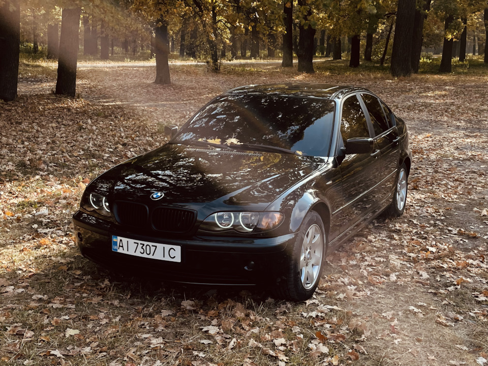 Трохи осінніх фото 3