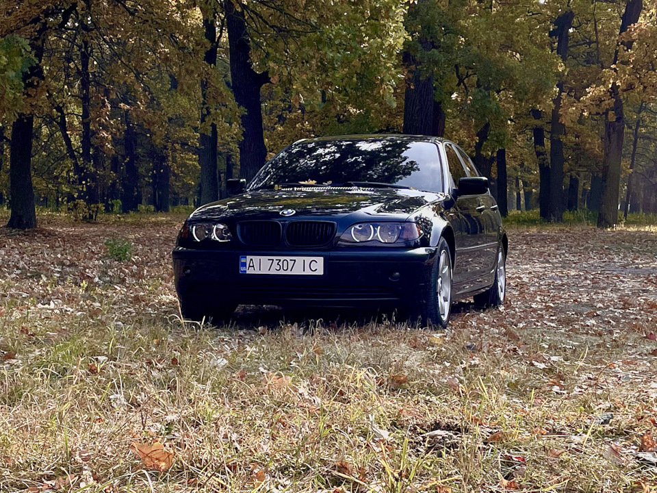 Трохи осінніх фото 2