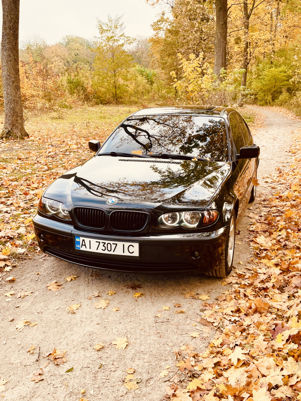 Трохи осінніх фото 5