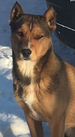 Не було печалі або Центральний замок. 4