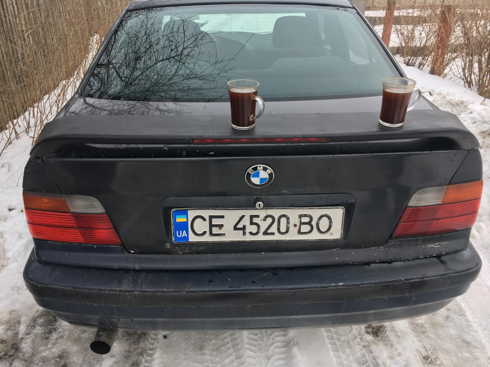 Туманки та диван від Макса 2