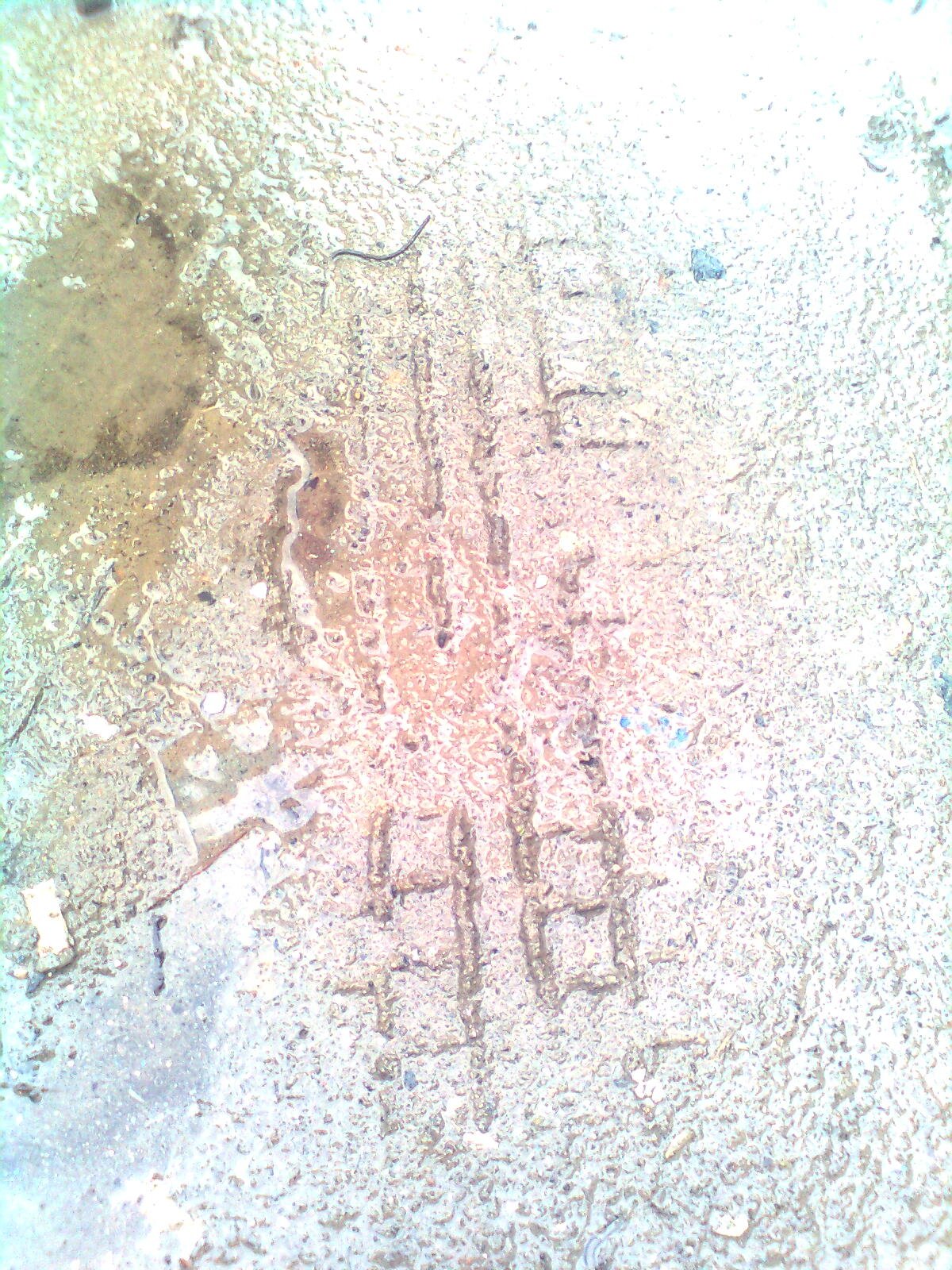Запис, 26 квітня 2011 5