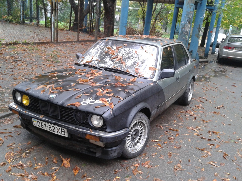 it's autumn photo works 1